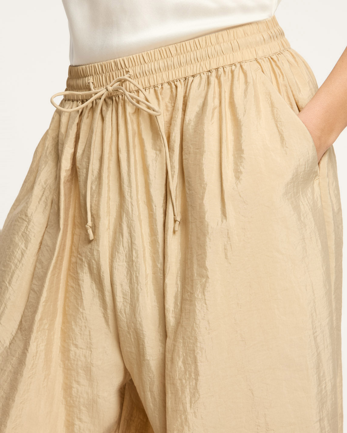 Cinq à Sept Tumbled Woven Verne Pant